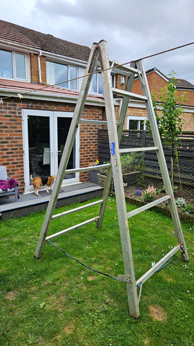 Tall decorators trestles - 2x,